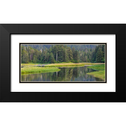 Alaska Panoramic of meadow at high tide in Tongass National Forest  Black Modern Wood Framed Art Print with Double Matting by Jaynes Gallery
