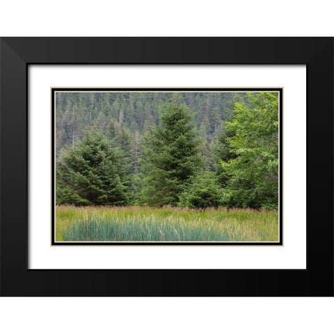Alaska-Tongass National Forest Meadow and forest landscape  Black Modern Wood Framed Art Print with Double Matting by Jaynes Gallery