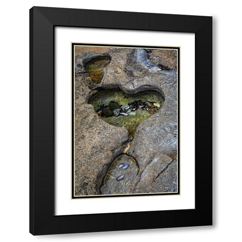 Alaska-Chichagof Island-Basket Bay Heart-shaped pool in rock  Black Modern Wood Framed Art Print with Double Matting by Jaynes Gallery