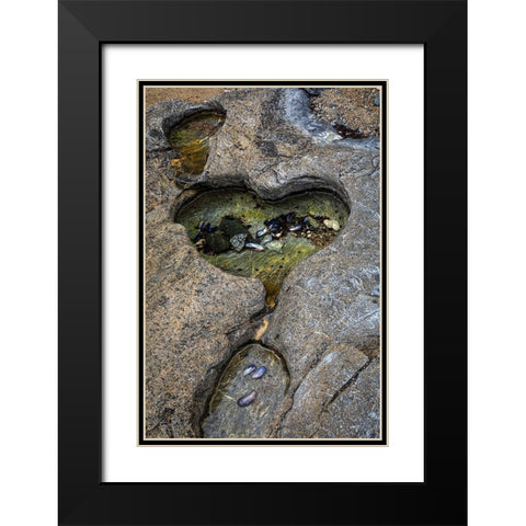 Alaska-Chichagof Island-Basket Bay Heart-shaped pool in rock  Black Modern Wood Framed Art Print with Double Matting by Jaynes Gallery