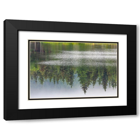 Alaska-Sitka Forest reflection in Swan Lake  Black Modern Wood Framed Art Print with Double Matting by Jaynes Gallery