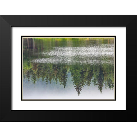 Alaska-Sitka Forest reflection in Swan Lake  Black Modern Wood Framed Art Print with Double Matting by Jaynes Gallery
