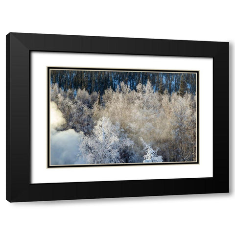 Alaska Fog and frosted trees in winter Black Modern Wood Framed Art Print with Double Matting by Jaynes Gallery