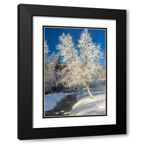 Alaska Stream and frosted trees in winter Black Modern Wood Framed Art Print with Double Matting by Jaynes Gallery