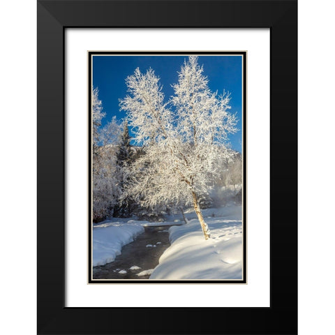 Alaska Stream and frosted trees in winter Black Modern Wood Framed Art Print with Double Matting by Jaynes Gallery