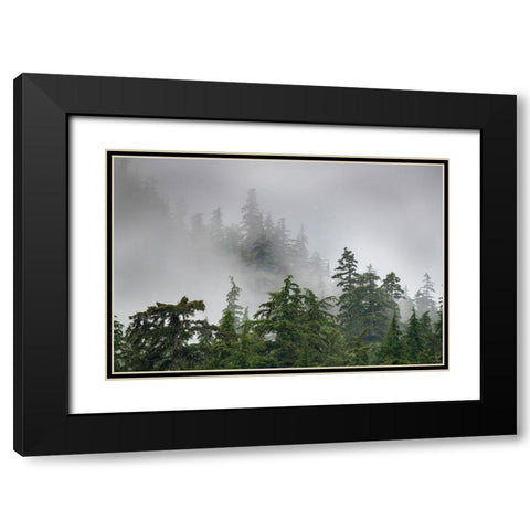Usa-Alaska Mists-fog and rain for the coastal temperate rainforest in Southeast Alaska Black Modern Wood Framed Art Print with Double Matting by Sederquist, Betty