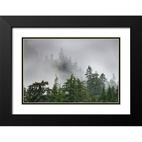 Usa-Alaska Mists-fog and rain for the coastal temperate rainforest in Southeast Alaska Black Modern Wood Framed Art Print with Double Matting by Sederquist, Betty