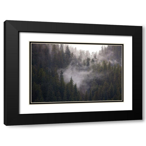Usa-Alaska Wisps of fog dance among trees in this Alaska rainforest scene on Admiralty Island Black Modern Wood Framed Art Print with Double Matting by Sederquist, Betty