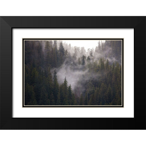 Usa-Alaska Wisps of fog dance among trees in this Alaska rainforest scene on Admiralty Island Black Modern Wood Framed Art Print with Double Matting by Sederquist, Betty