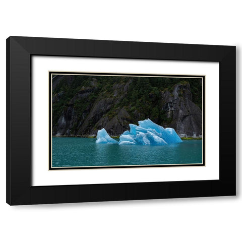 Usa-Alaska This perfect iceberg floats in the blue waters of Endicott Arm Black Modern Wood Framed Art Print with Double Matting by Sederquist, Betty