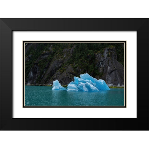 Usa-Alaska This perfect iceberg floats in the blue waters of Endicott Arm Black Modern Wood Framed Art Print with Double Matting by Sederquist, Betty