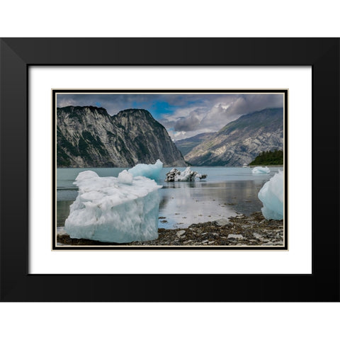 Beached icebergs from nearby McBride Glacier sit on a Muir Inlet beach. Black Modern Wood Framed Art Print with Double Matting by Sederquist, Betty