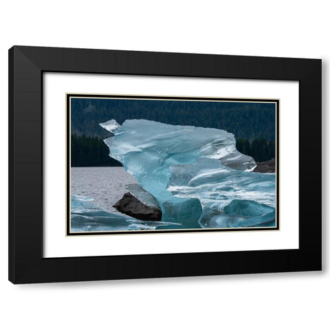 Crystalline iceberg shines in Endicott Arm. Black Modern Wood Framed Art Print with Double Matting by Sederquist, Betty