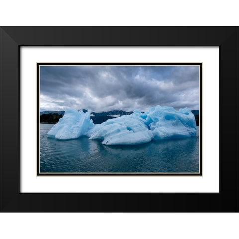 Iceberg glows in Endicott Arm. Black Modern Wood Framed Art Print with Double Matting by Sederquist, Betty