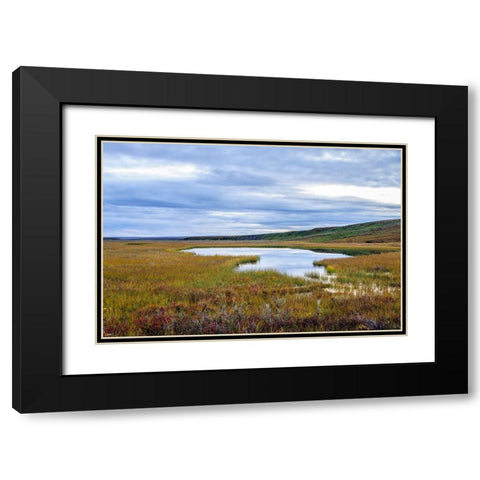USA- Alaska- Noatak National Preserve. Wetlands in the arctic tundra. Black Modern Wood Framed Art Print with Double Matting by Norrsell, Fredrik