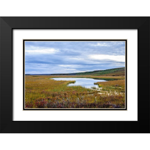 USA- Alaska- Noatak National Preserve. Wetlands in the arctic tundra. Black Modern Wood Framed Art Print with Double Matting by Norrsell, Fredrik