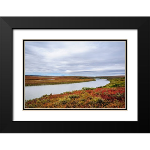 USA- Alaska- Noatak National Preserve. Autumn colors along the Noatak River. Black Modern Wood Framed Art Print with Double Matting by Norrsell, Fredrik
