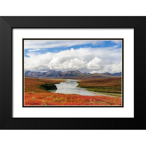 USA- Alaska- Noatak National Preserve. Arctic tundra in autumn colors along the Noatak River. Black Modern Wood Framed Art Print with Double Matting by Norrsell, Fredrik