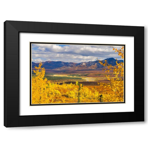 Alaska- Denali National Park. Golden landscape of valley and mountains. Black Modern Wood Framed Art Print with Double Matting by Muir, Janet