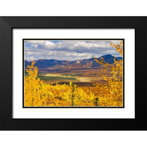 Alaska- Denali National Park. Golden landscape of valley and mountains. Black Modern Wood Framed Art Print with Double Matting by Muir, Janet