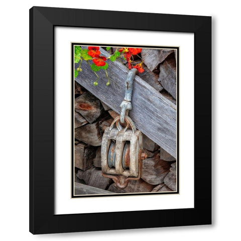 Antique block and tackle Black Modern Wood Framed Art Print with Double Matting by Engelbrecht, Jim