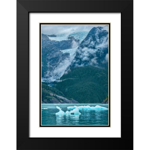 Glacial ice-iceberg-LeConte Bay-Petersburg-Alaska-USA Black Modern Wood Framed Art Print with Double Matting by Engelbrecht, Jim