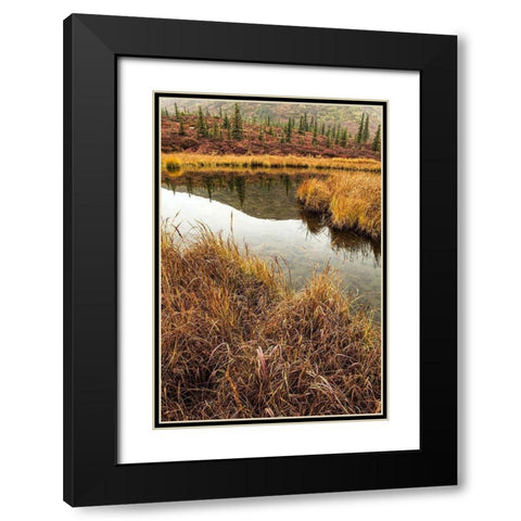 Fall Foliage-Alaska Black Modern Wood Framed Art Print with Double Matting by Ford, John