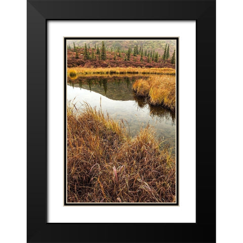 Fall Foliage-Alaska Black Modern Wood Framed Art Print with Double Matting by Ford, John