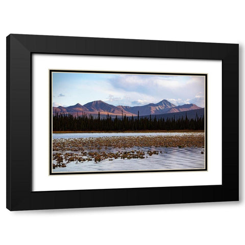 Wrangell Mountains-Alaska-USA Black Modern Wood Framed Art Print with Double Matting by Sienda, Jolly