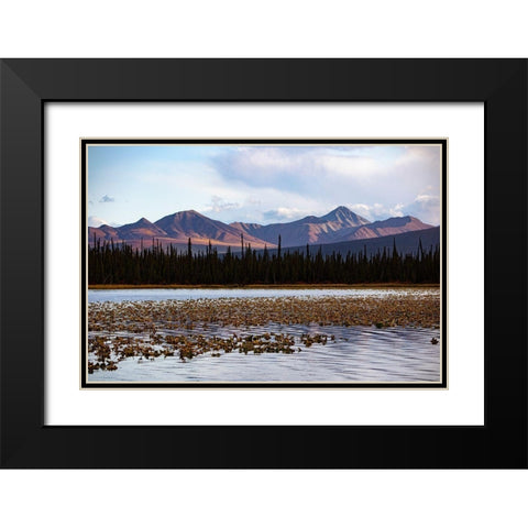 Wrangell Mountains-Alaska-USA Black Modern Wood Framed Art Print with Double Matting by Sienda, Jolly