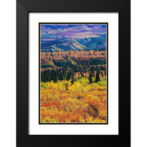 Glenn Highway-Alaska-forest Black Modern Wood Framed Art Print with Double Matting by Sienda, Jolly