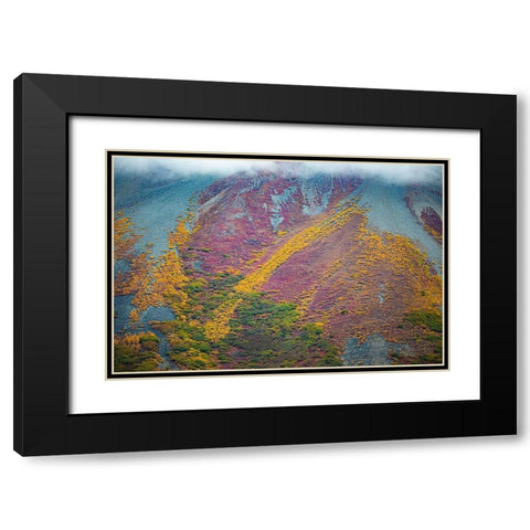 Alaska-autumn color Black Modern Wood Framed Art Print with Double Matting by Sienda, Jolly