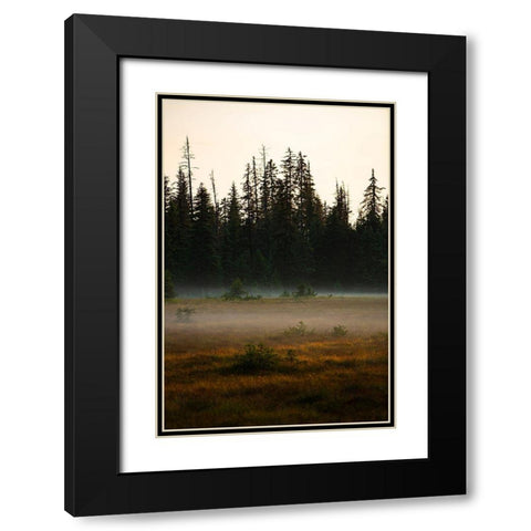 Homer-Alaska-miniature-black spruce-autumn colored field Black Modern Wood Framed Art Print with Double Matting by Sienda, Jolly