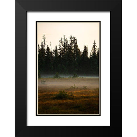 Homer-Alaska-miniature-black spruce-autumn colored field Black Modern Wood Framed Art Print with Double Matting by Sienda, Jolly