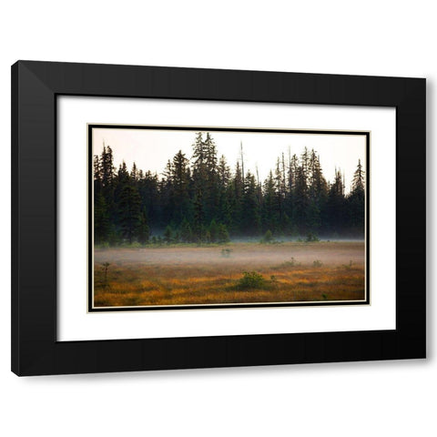 Homer-Alaska-miniature-black spruce-autumn colored field Black Modern Wood Framed Art Print with Double Matting by Sienda, Jolly