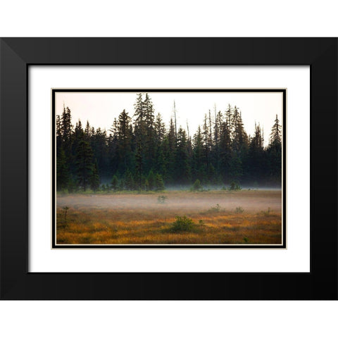 Homer-Alaska-miniature-black spruce-autumn colored field Black Modern Wood Framed Art Print with Double Matting by Sienda, Jolly
