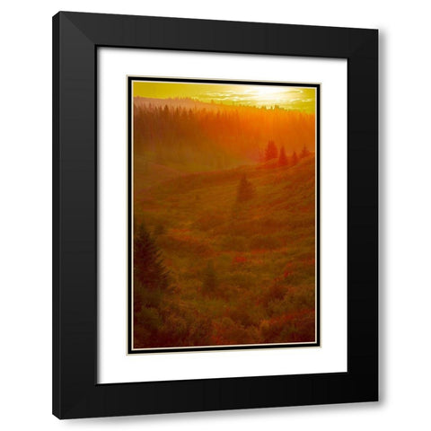 Homer-Alaska-scenic-sunset-golden-permafrost Black Modern Wood Framed Art Print with Double Matting by Sienda, Jolly