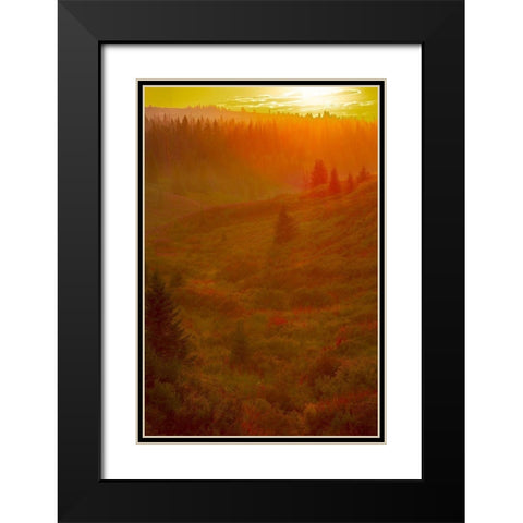 Homer-Alaska-scenic-sunset-golden-permafrost Black Modern Wood Framed Art Print with Double Matting by Sienda, Jolly