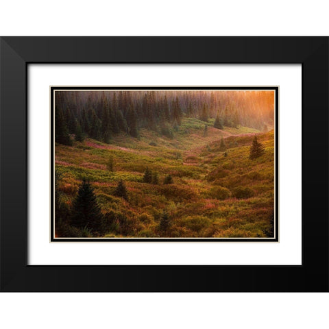 Homer-Alaska-autumn-valley-fireweed Black Modern Wood Framed Art Print with Double Matting by Sienda, Jolly