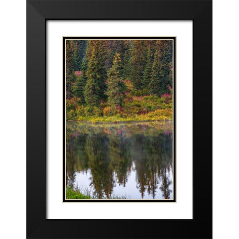 Homer-Alaska-autumn-fireweed Black Modern Wood Framed Art Print with Double Matting by Sienda, Jolly