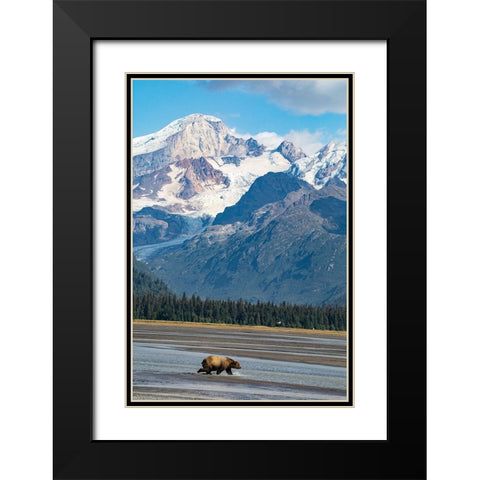 Lake Clark National Park and Preserve-Cook Inlet-Kenai Peninsula-Alaska-brown bear Black Modern Wood Framed Art Print with Double Matting by Sienda, Jolly