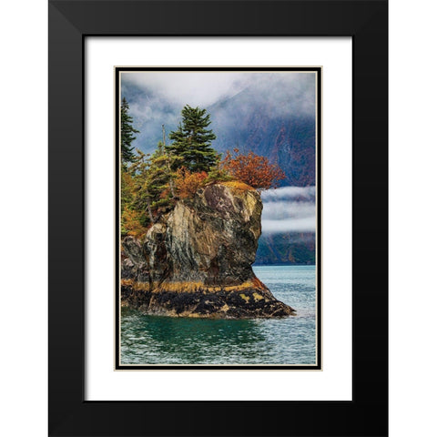 Prince William Sound-Alaska-Valdez-island-autumn-color-evergreen-fog Black Modern Wood Framed Art Print with Double Matting by Sienda, Jolly