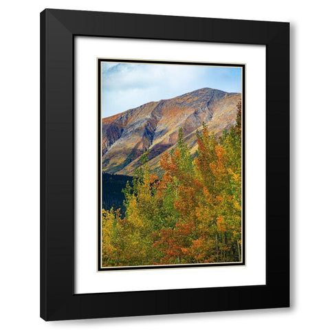 Richardson Highway-Alaska-autumn color-birch-aspens-mountains-Permafrost Black Modern Wood Framed Art Print with Double Matting by Sienda, Jolly