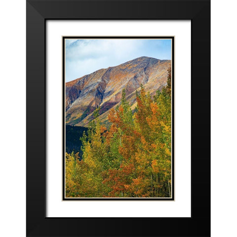 Richardson Highway-Alaska-autumn color-birch-aspens-mountains-Permafrost Black Modern Wood Framed Art Print with Double Matting by Sienda, Jolly