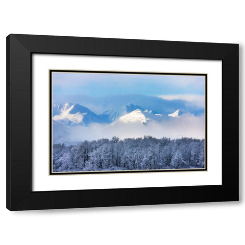 Landscape of forest and snow mountain-Haines-Alaska-USA Black Modern Wood Framed Art Print with Double Matting by Su, Keren