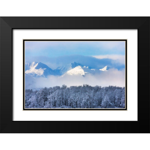 Landscape of forest and snow mountain-Haines-Alaska-USA Black Modern Wood Framed Art Print with Double Matting by Su, Keren