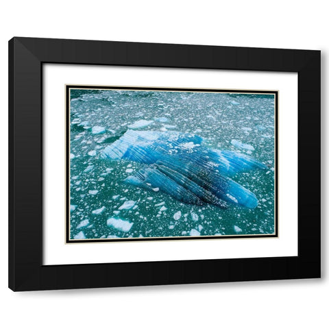 Alaska shattered icebergs floating near calving face of LeConte Glacier east of Petersburg Black Modern Wood Framed Art Print with Double Matting by Souders, Paul