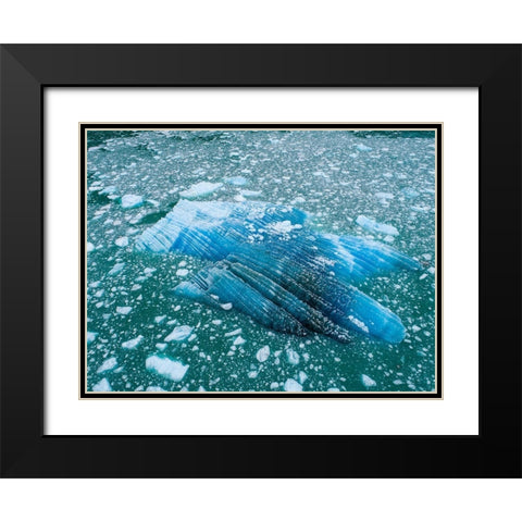 Alaska shattered icebergs floating near calving face of LeConte Glacier east of Petersburg Black Modern Wood Framed Art Print with Double Matting by Souders, Paul