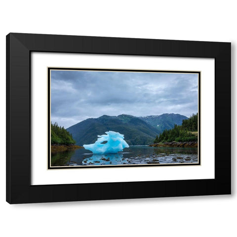 Alaska-Petersburg-Large iceberg from LeConte Glacier grounded at low tide in LeConte Bay Black Modern Wood Framed Art Print with Double Matting by Souders, Paul