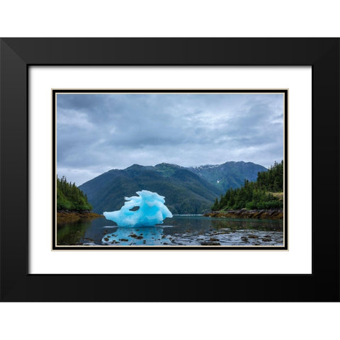 Alaska-Petersburg-Large iceberg from LeConte Glacier grounded at low tide in LeConte Bay Black Modern Wood Framed Art Print with Double Matting by Souders, Paul